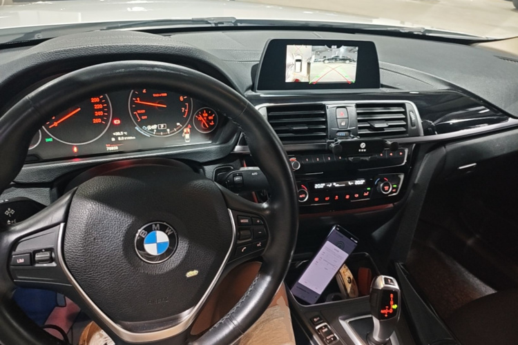 BMW 3 Series 2018 car image #10