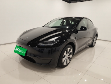 Tesla Model Y 2021 car image 