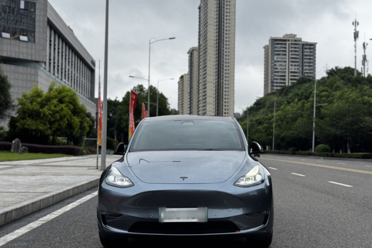 Tesla Model Y 2021 car image #9