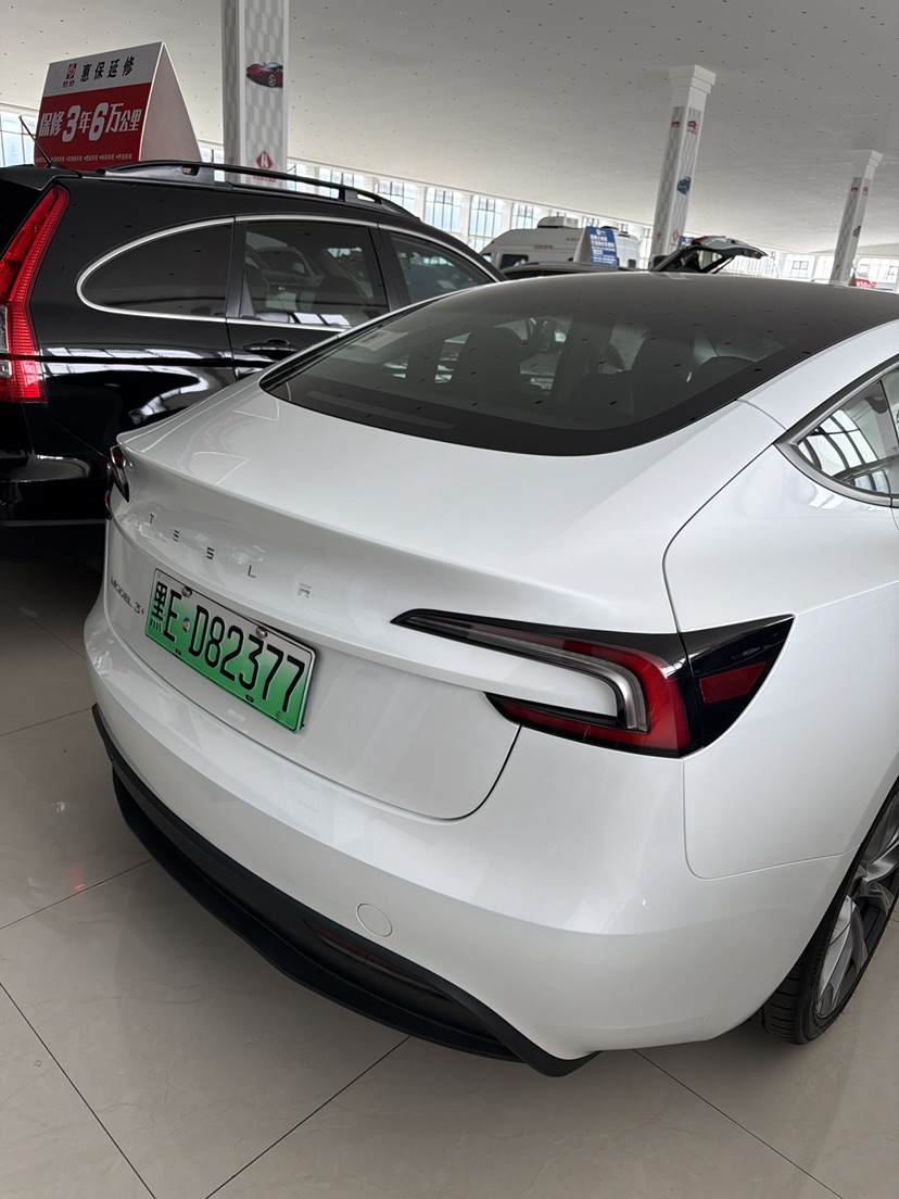 Tesla Model 3 2024 immagine di auto #5