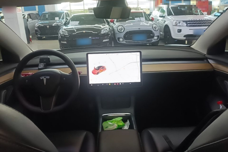 Tesla Model 3 2021 immagine di auto #10