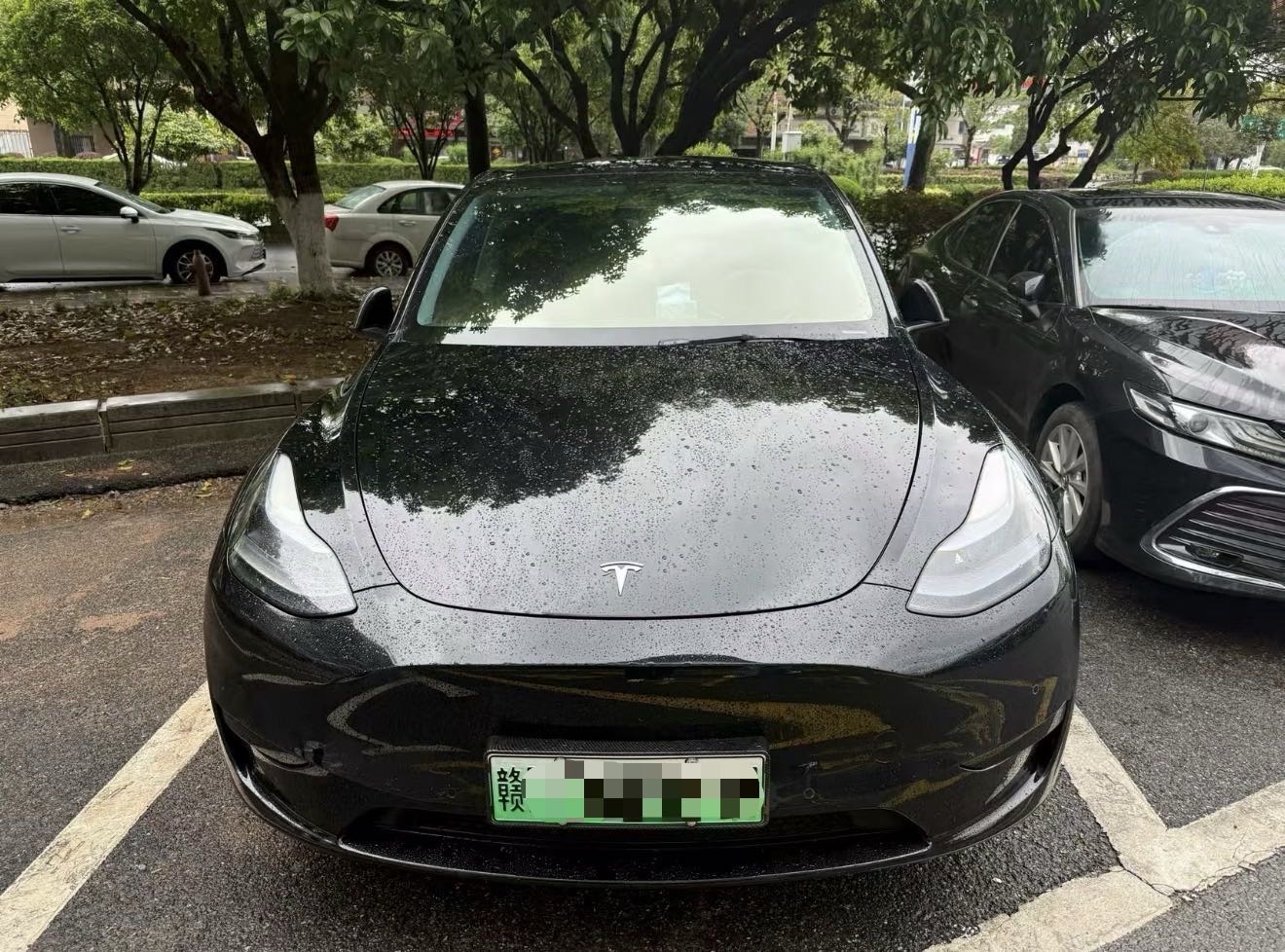 Tesla Model Y 2023 #2 Tesla Model Y 2023 car image #2