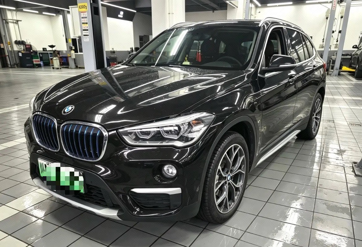 BMW X1 New Energy 2019 BMW X1 New Energy 2019 car image