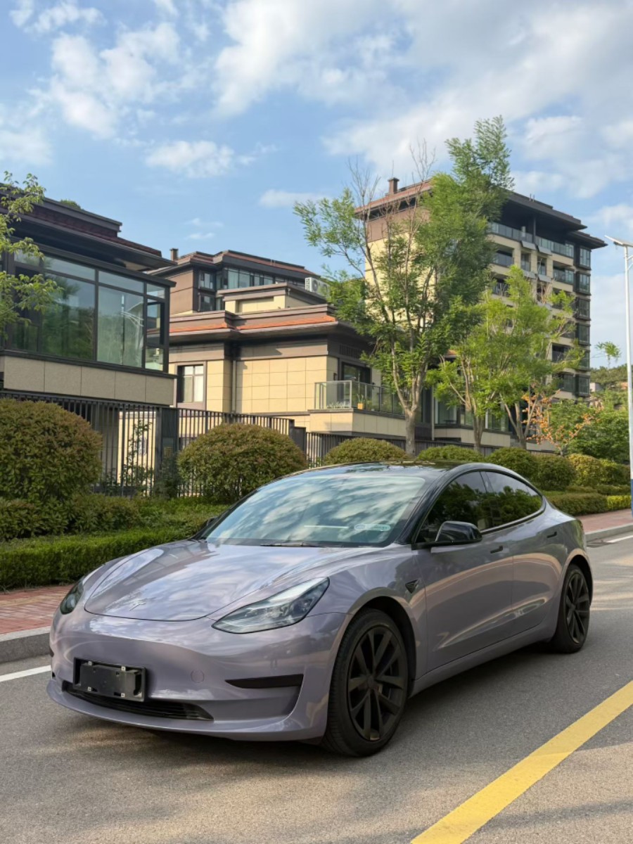 Tesla Model 3 2021 immagine di auto #3