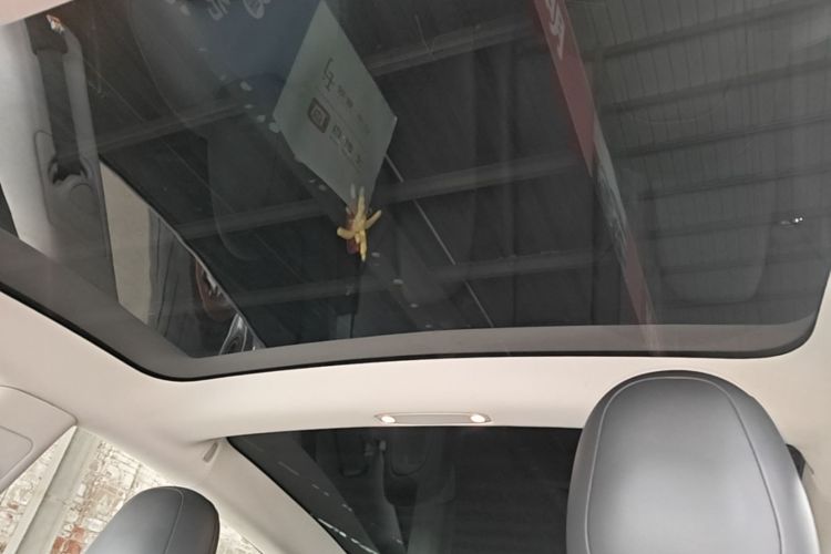 Tesla Model 3 2020 car image #18