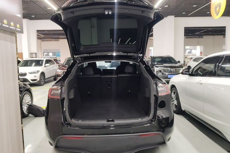 Tesla Model Y 2023 #19 Tesla Model Y 2023 car image #19