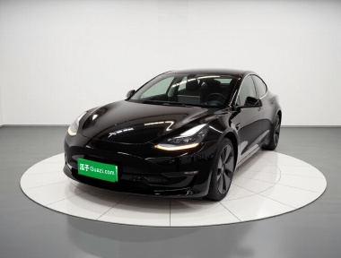 Tesla Model 3 2021 car image 