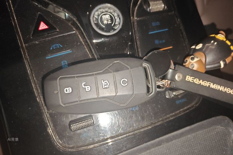BYD Han 2020 car image #10