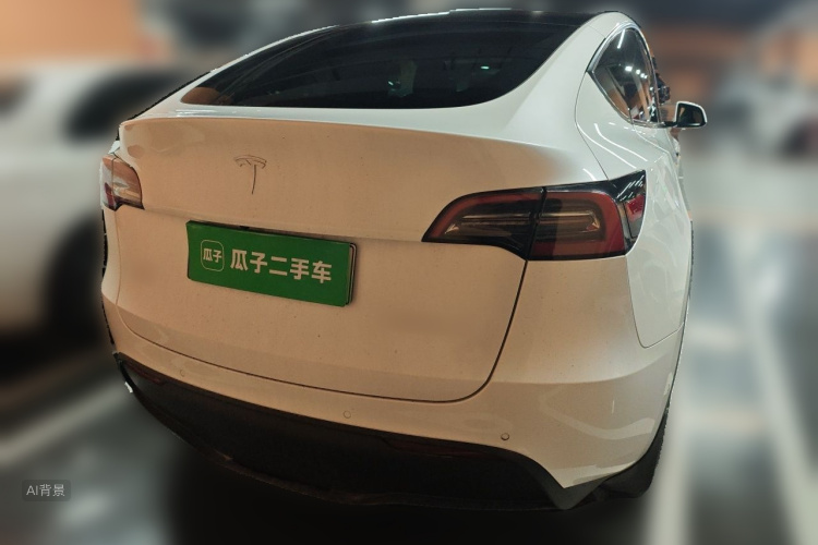Tesla Model Y 2021 imagem de carro #6