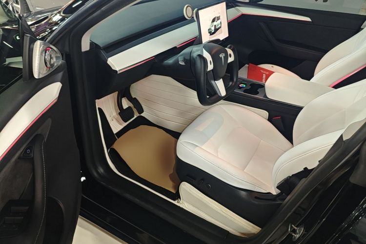 Tesla Model Y 2022 #12 Tesla Model Y 2022 car image #12