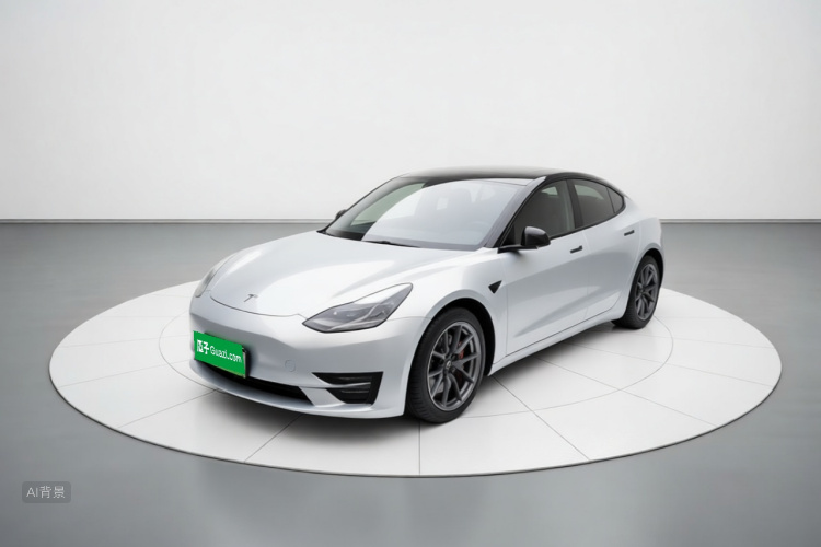 Tesla Model 3 2021 #2 Tesla Model 3 2021 car image #2