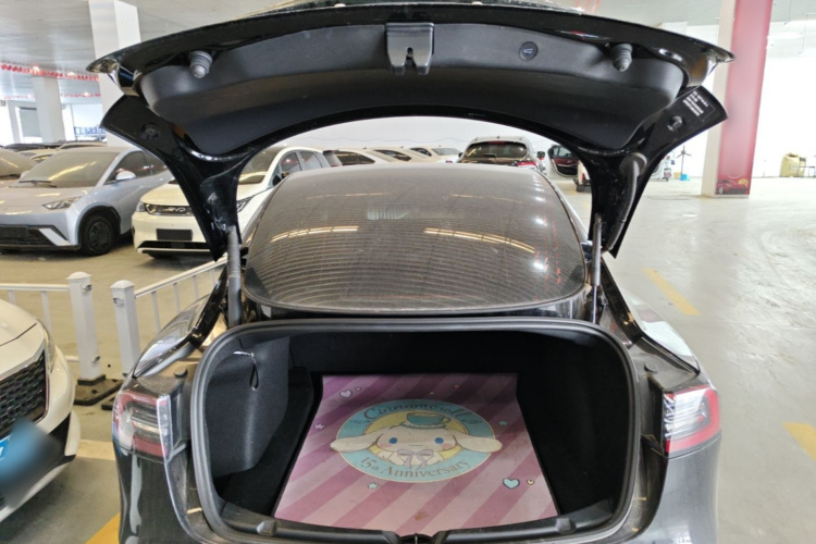 Tesla Model 3 2021 #19 Tesla Model 3 2021 car image #19