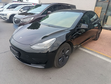 Tesla Model 3 2021 Tesla Model 3 2021 immagine di auto