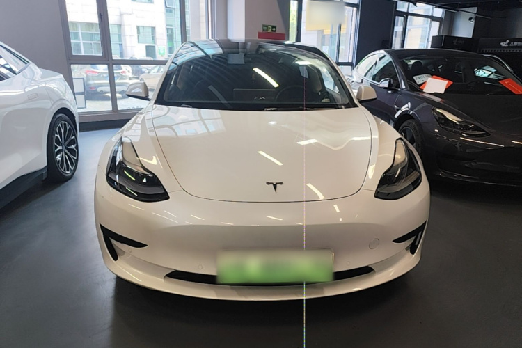 Tesla Model 3 2022 #3 Tesla Model 3 2022 car image #3