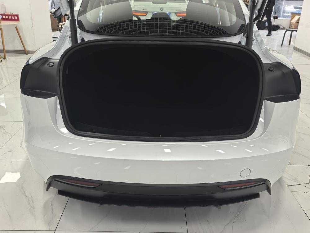 Tesla Model 3 2025 #20 Tesla Model 3 2025 immagine di auto #20