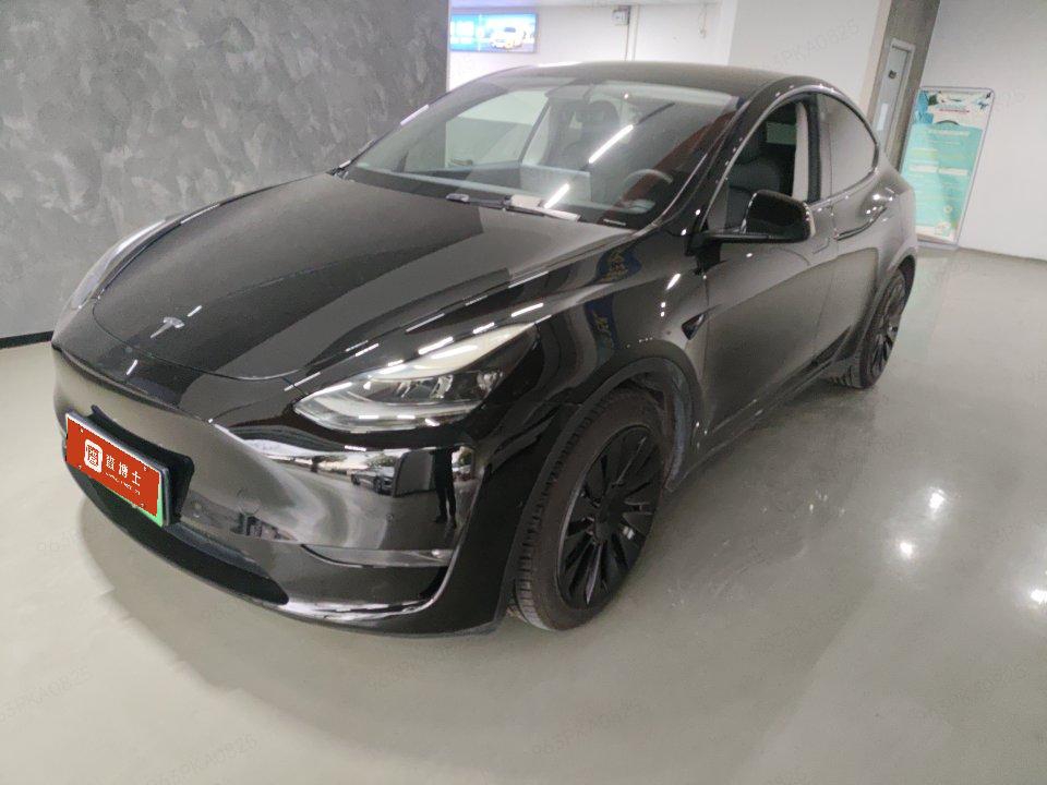 Tesla Model Y 2021 Tesla Model Y 2021 car image