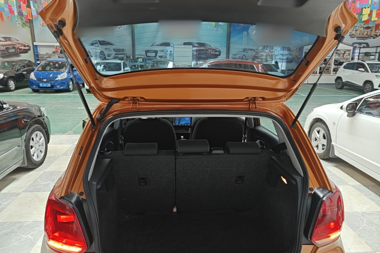 Volkswagen Polo 2015 car image #19
