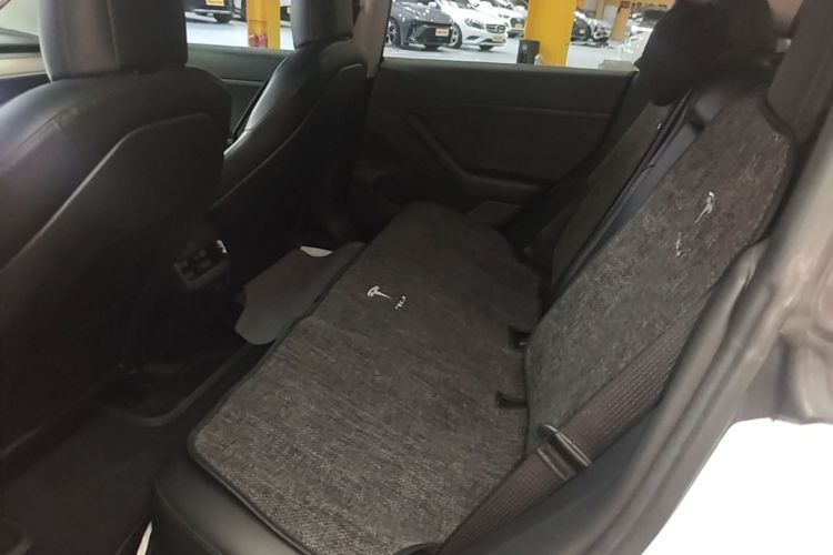 Tesla Model 3 2020 car image #13