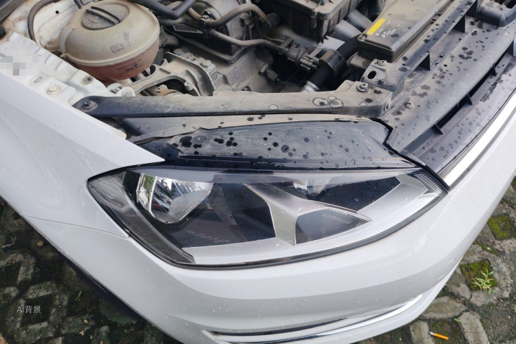 Volkswagen Golf 2016 #8 Volkswagen Golf 2016 car image #8
