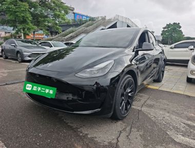 Tesla Model Y 2022 car image 