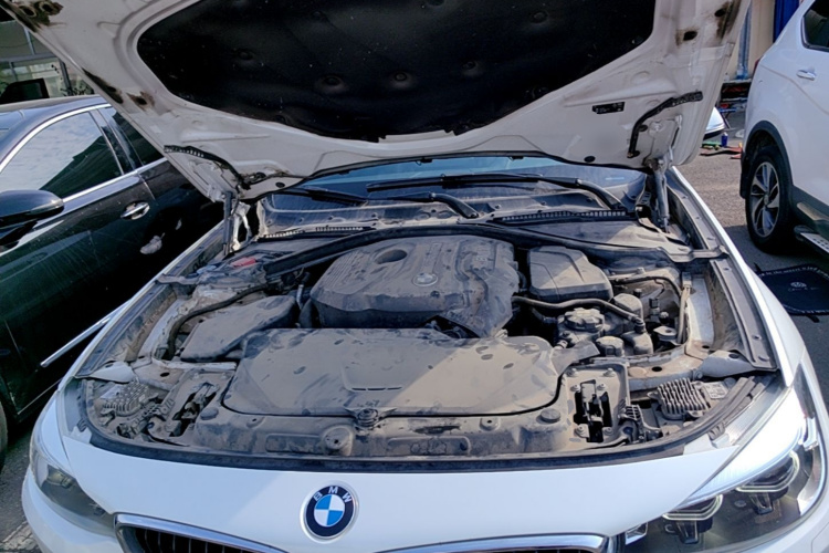 BMW 3 Series GT 2017 car image #20