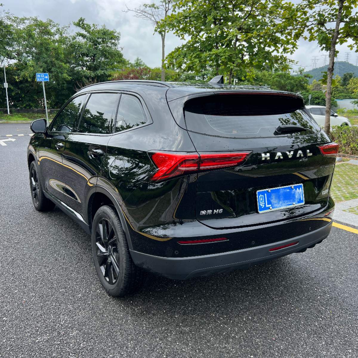 Haval H6 2024 imagen de coche #4