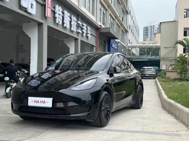 Tesla Model Y 2022 immagine di auto #10