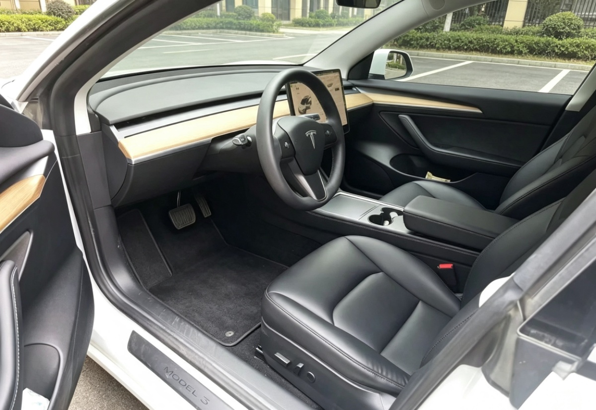 Tesla Model 3 2021 immagine di auto #5