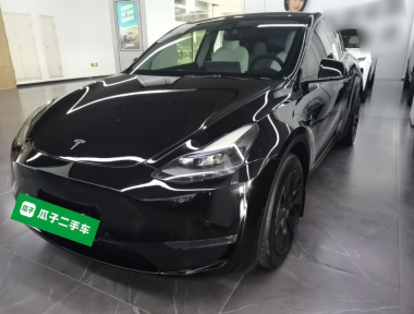 Tesla Model Y 2022 Tesla Model Y 2022 car image