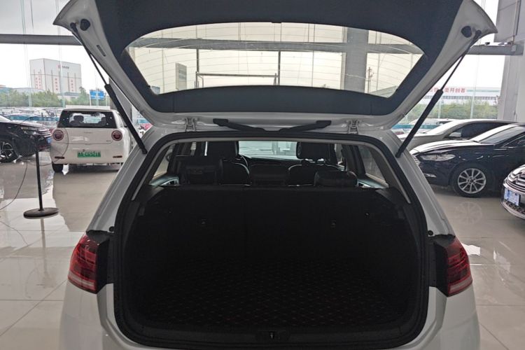 Volkswagen Golf 2018 car image #19