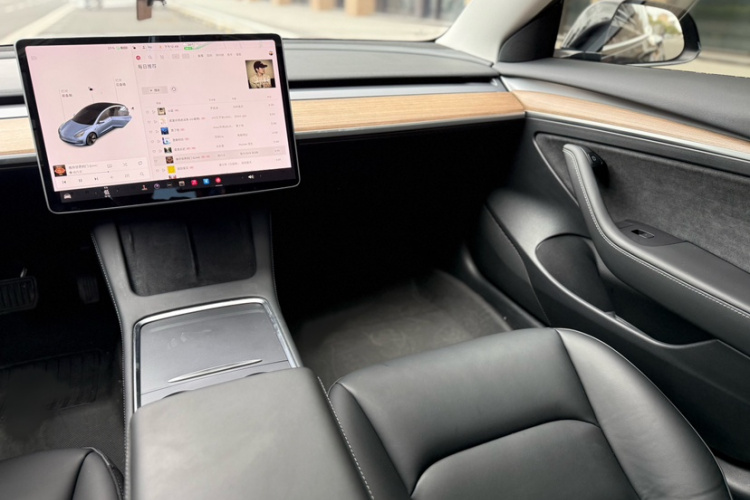 Tesla Model 3 2021 immagine di auto #13