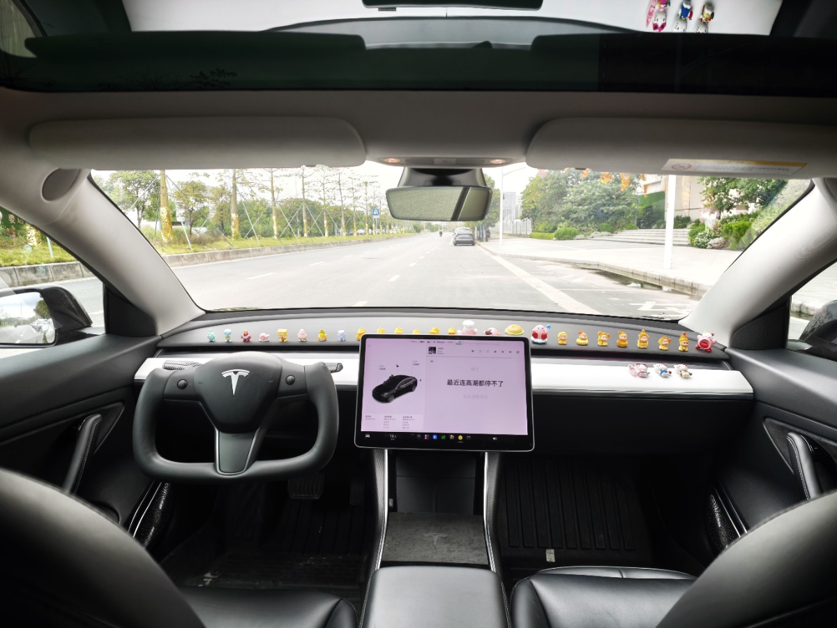 Tesla Model 3 2020 #5 Tesla Model 3 2020 car image #5