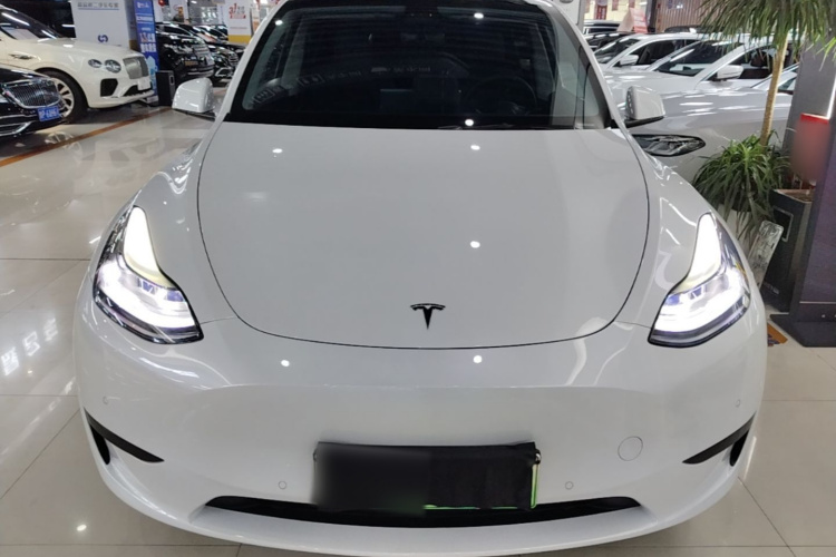 Tesla Model Y 2022 #3 Tesla Model Y 2022 car image #3