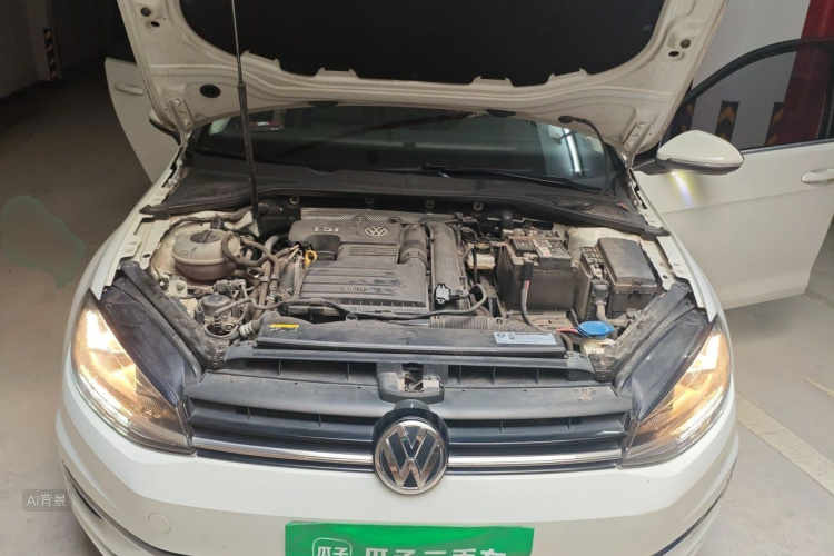 Volkswagen Golf 2019 #22 Volkswagen Golf 2019 car image #22