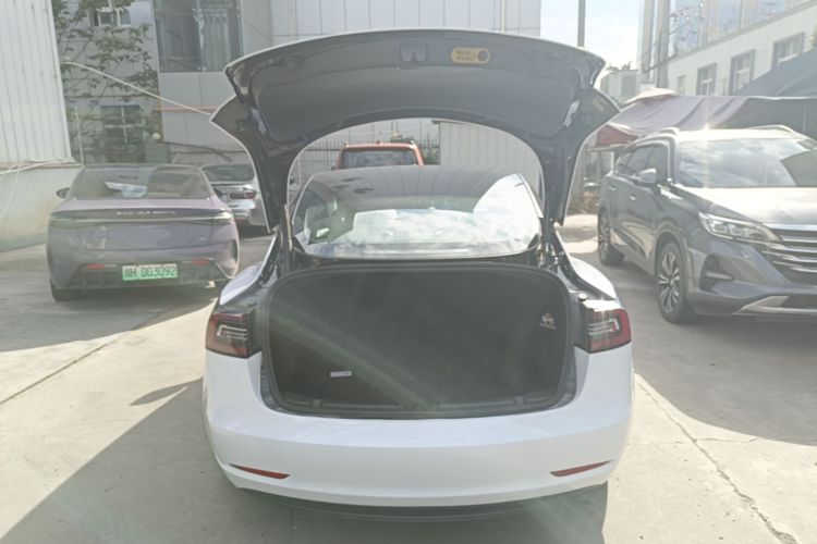 Tesla Model 3 2021 #19 Tesla Model 3 2021 car image #19