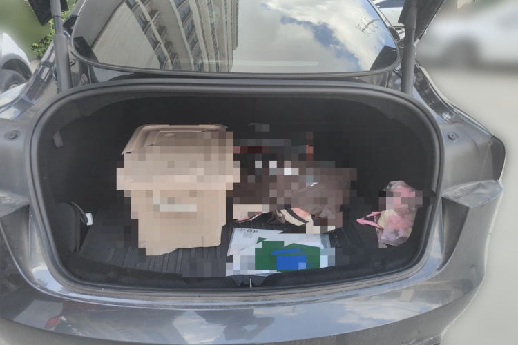 Tesla Model 3 2024 #17 Tesla Model 3 2024 car image #17