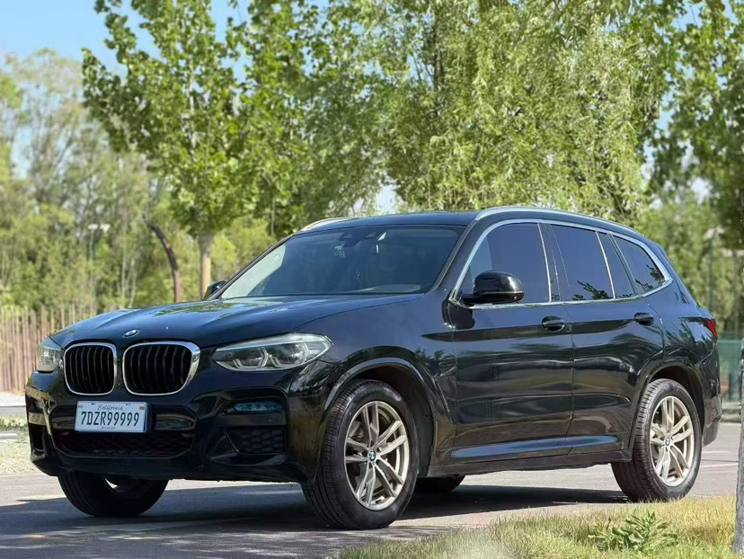 BMW X3 2019 BMW X3 2019 car image