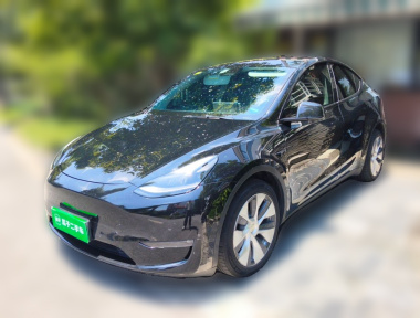 Tesla Model Y 2021 Tesla Model Y 2021 car image