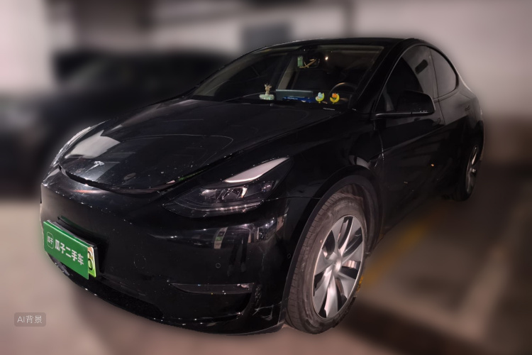 Tesla Model Y 2021 #2 Tesla Model Y 2021 car image #2