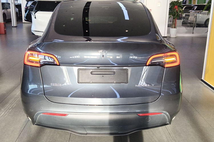 Tesla Model Y 2022 car image #6