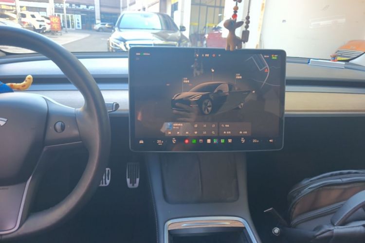 Tesla Model 3 2022 car image #13