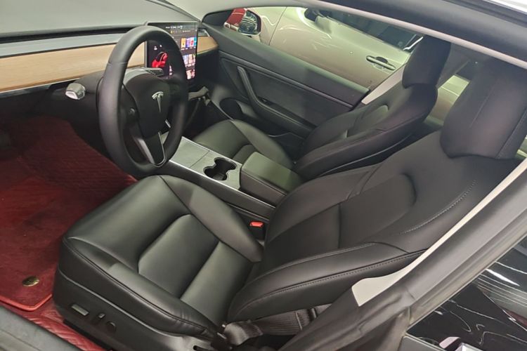Tesla Model 3 2020 immagine di auto #15