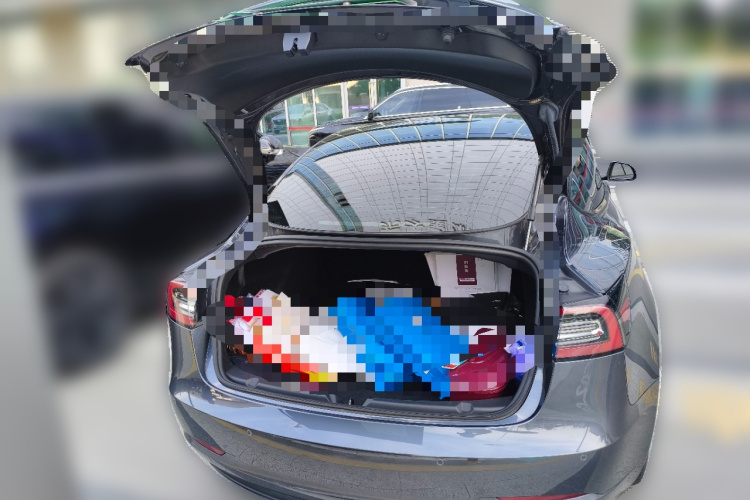 Tesla Model 3 2023 #17 Tesla Model 3 2023 immagine di auto #17