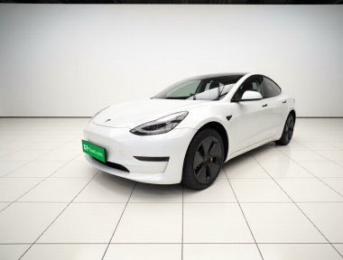 Tesla Model 3 2022 Tesla Model 3 2022 car image