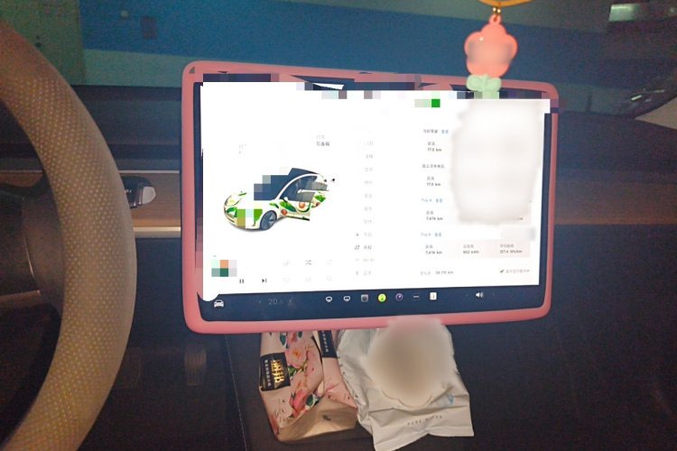 Tesla Model 3 2021 car image #16