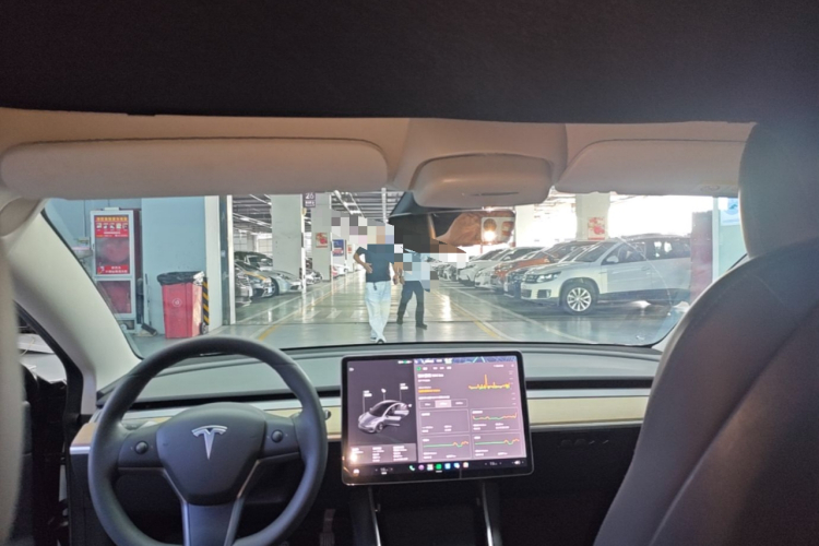 Tesla Model 3 2020 car image #18