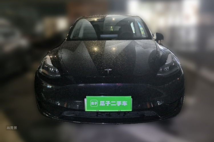 Tesla Model Y 2022 car image #3