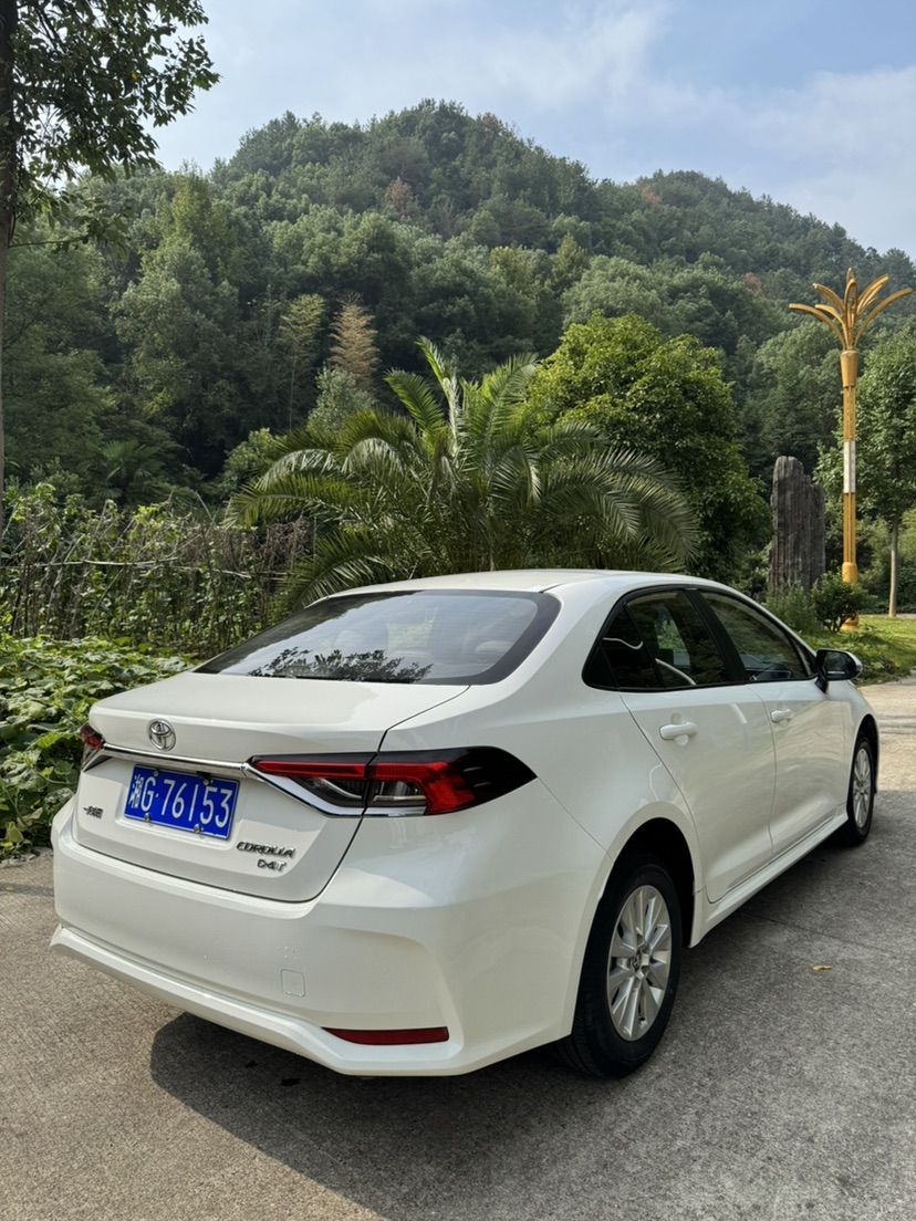 Toyota Corolla 2020 #7 Toyota Corolla 2020 car image #7