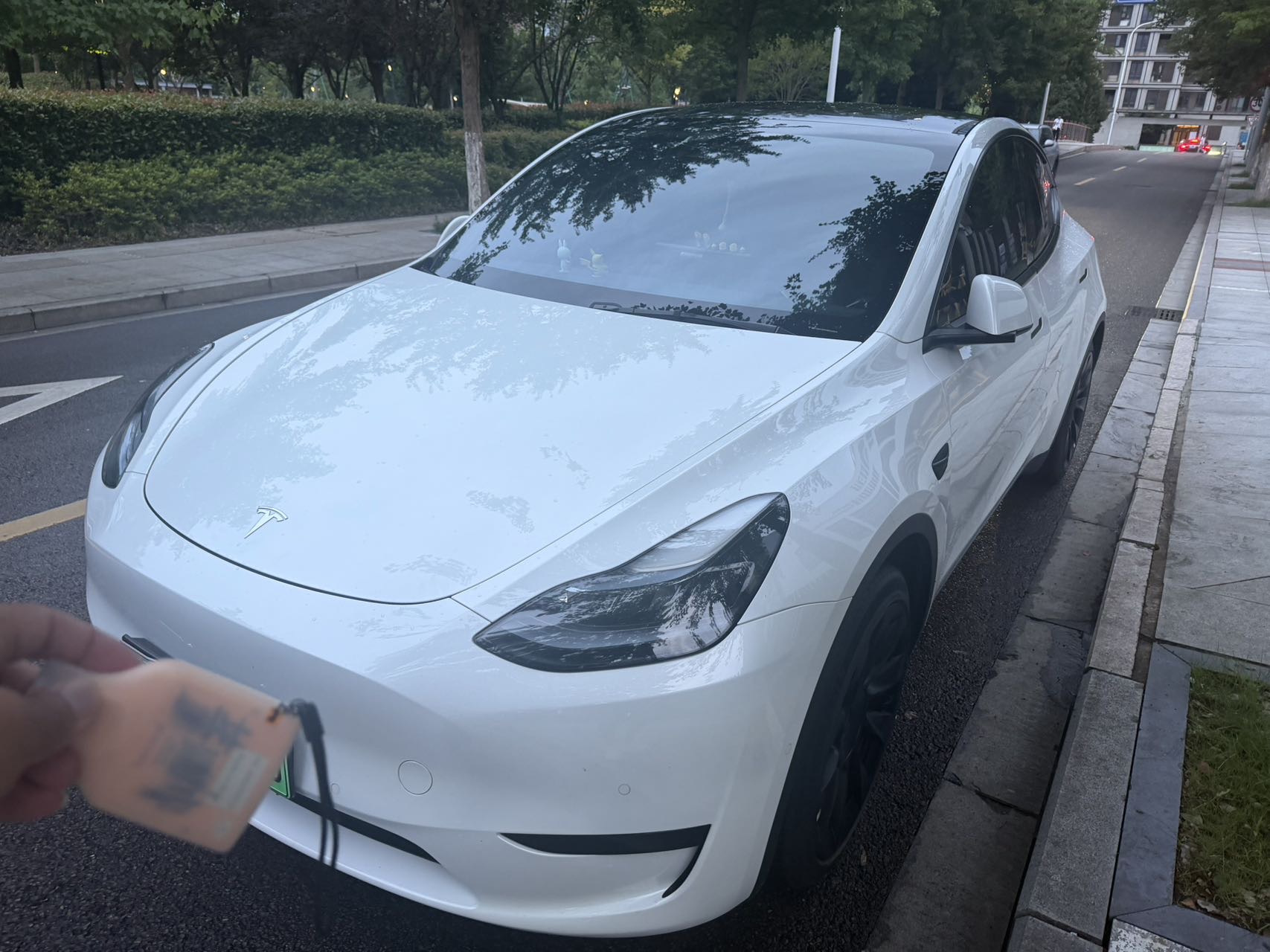 Tesla Model Y 2023 car image 