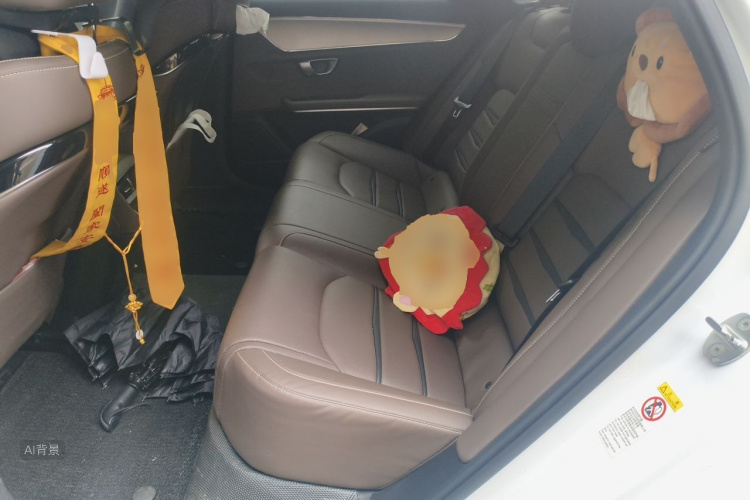 BYD Han 2021 car image #19
